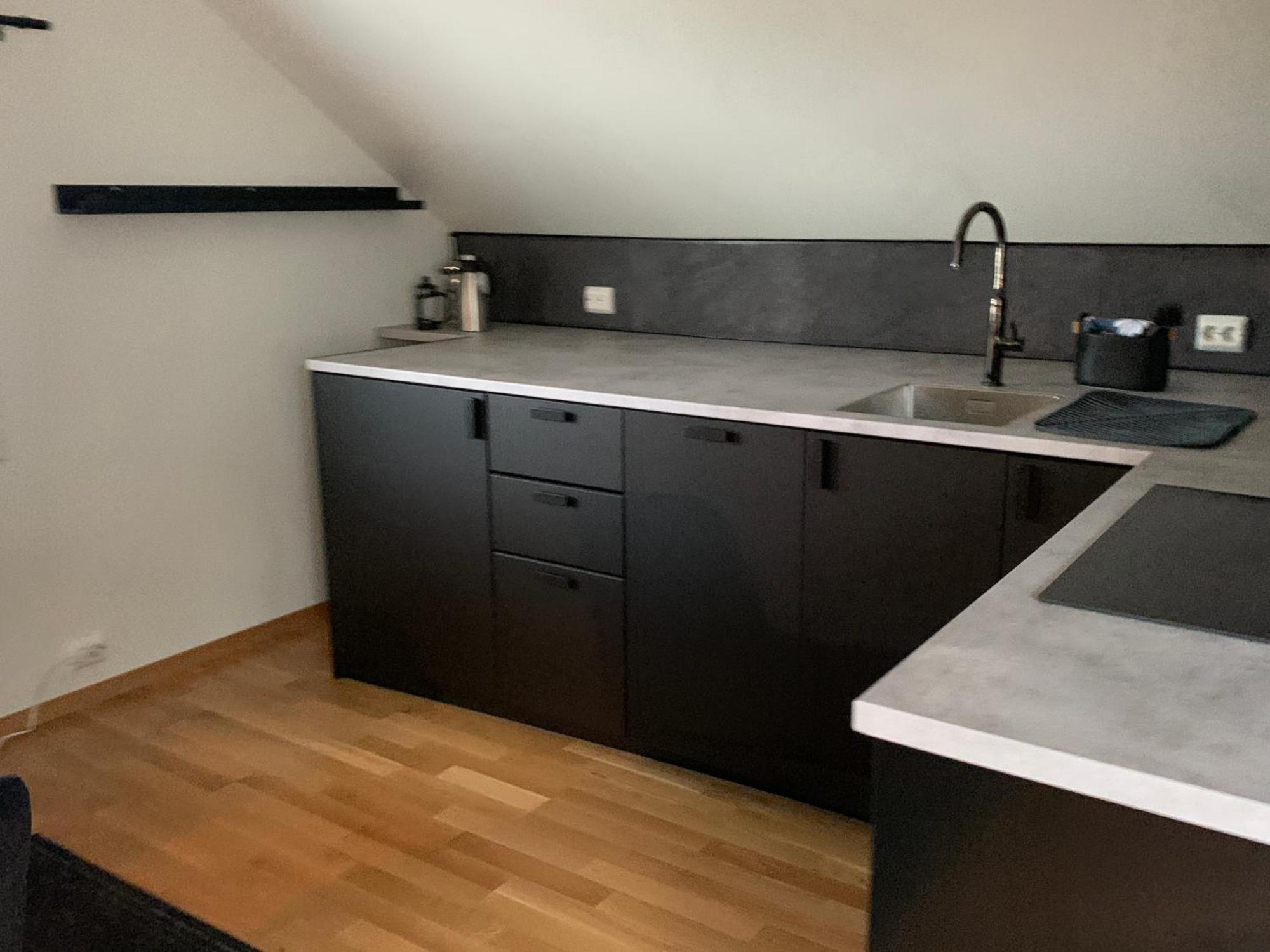 Koselig Loft Til Leie Leilighet *